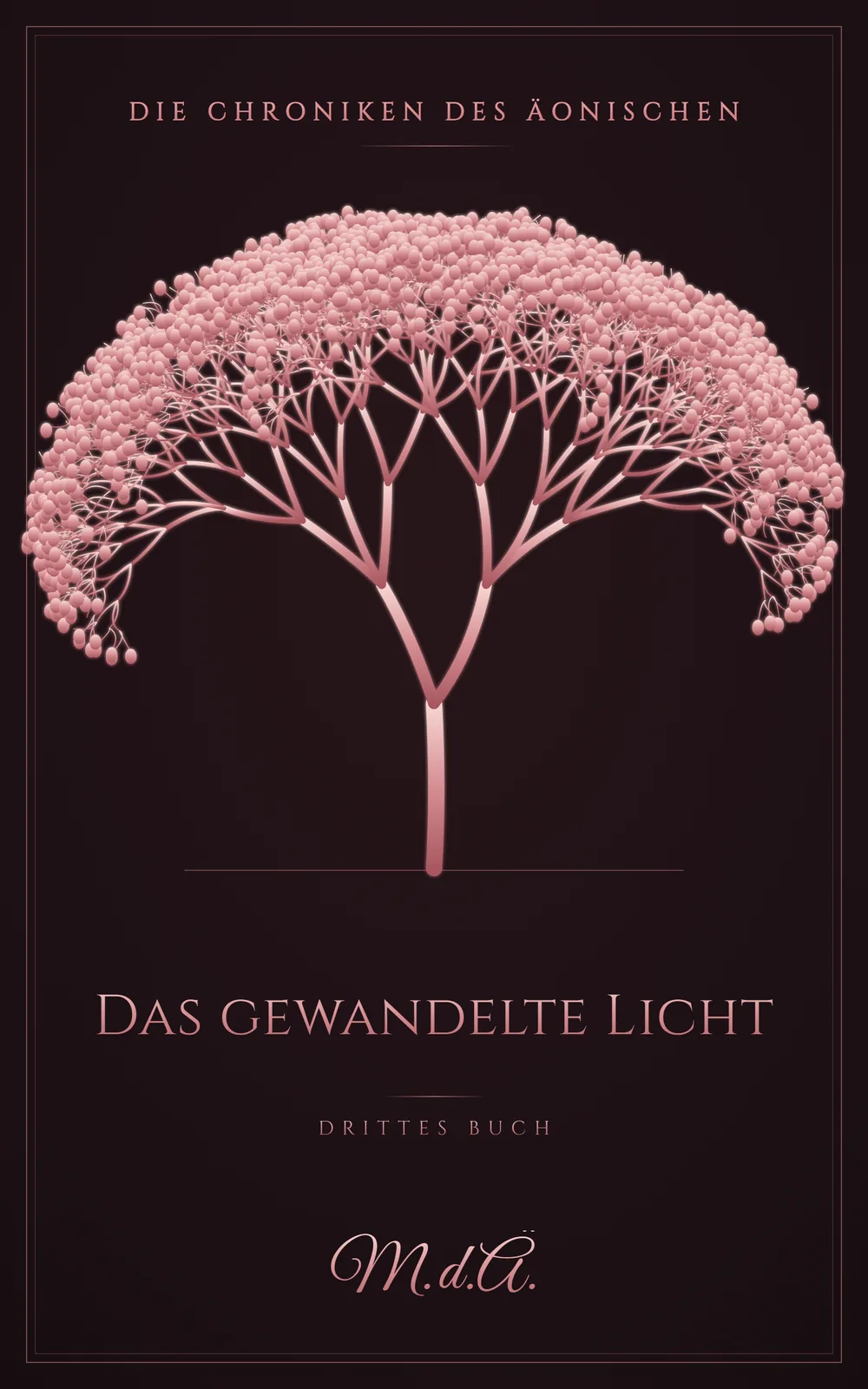 Cover Third Book: The Light Transfigured